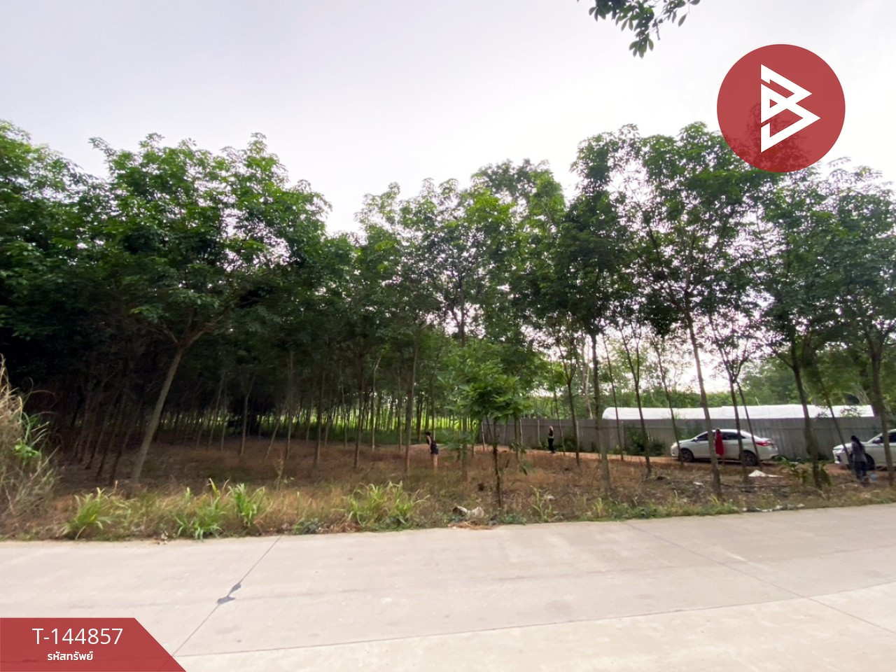 ขายที่ดิน เนื้อที่ 7 ไร่ 21.6 ตร.วา บ้านค่าย ระยอง – รูปที่ 3