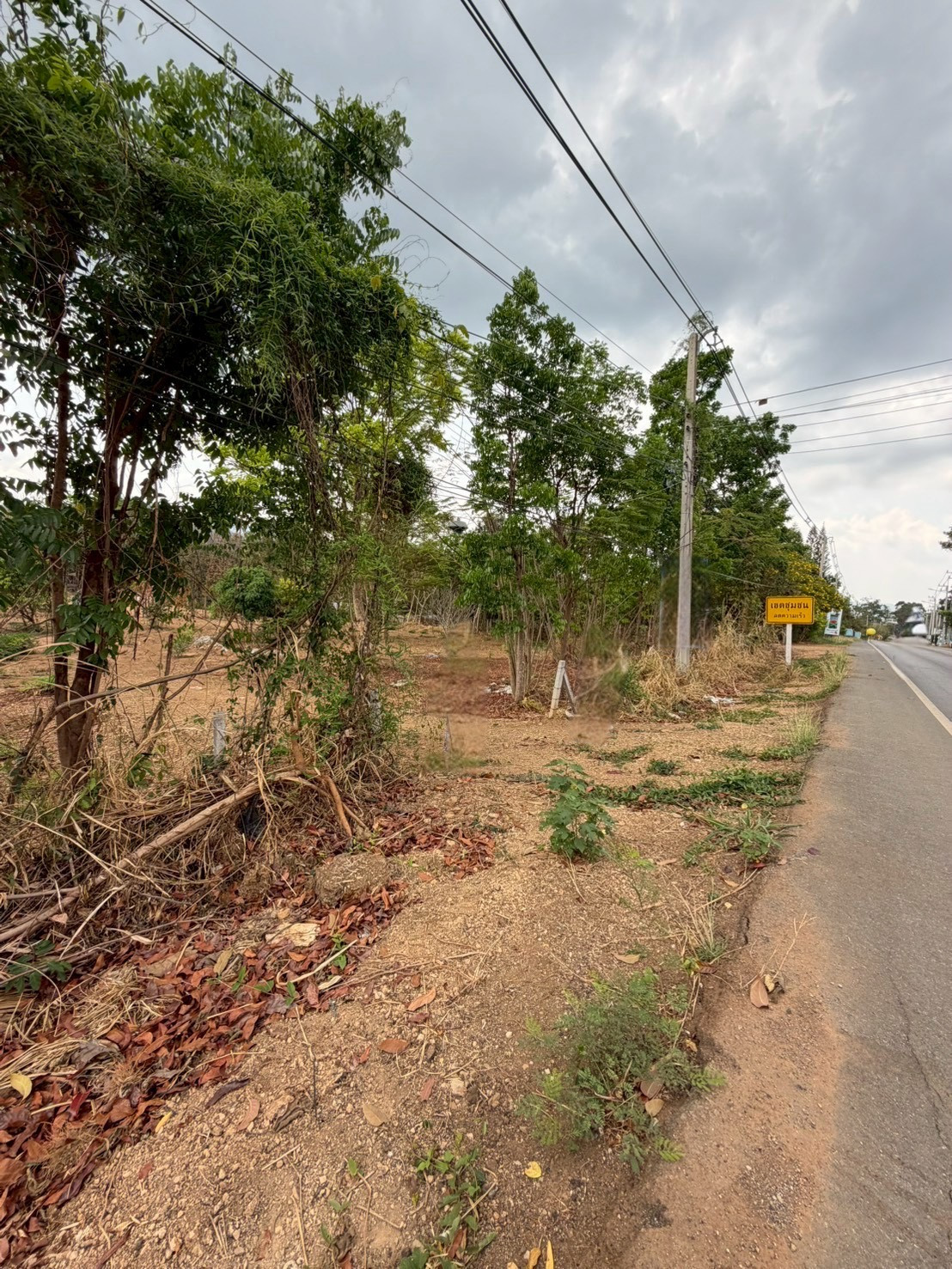 Land for sale in Khao Yai, rai and a half, next to Kut Kla-Phan Suek Road. (Highway 1016) Phaya Yen, Red Garuda, near Thanarat Road. Land for sale in Khao Yai, rai and a half, next to Kut Kla-Phan Suek Road. (Highway 1016) Phaya Yen, Red Garuda, near Thanarat Road.