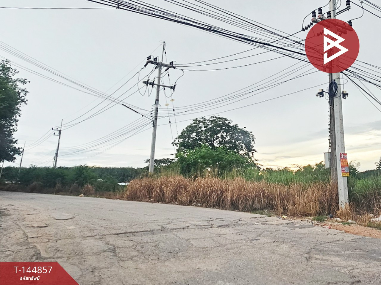 ขายที่ดิน เนื้อที่ 7 ไร่ 21.6 ตร.วา บ้านค่าย ระยอง – รูปที่ 4