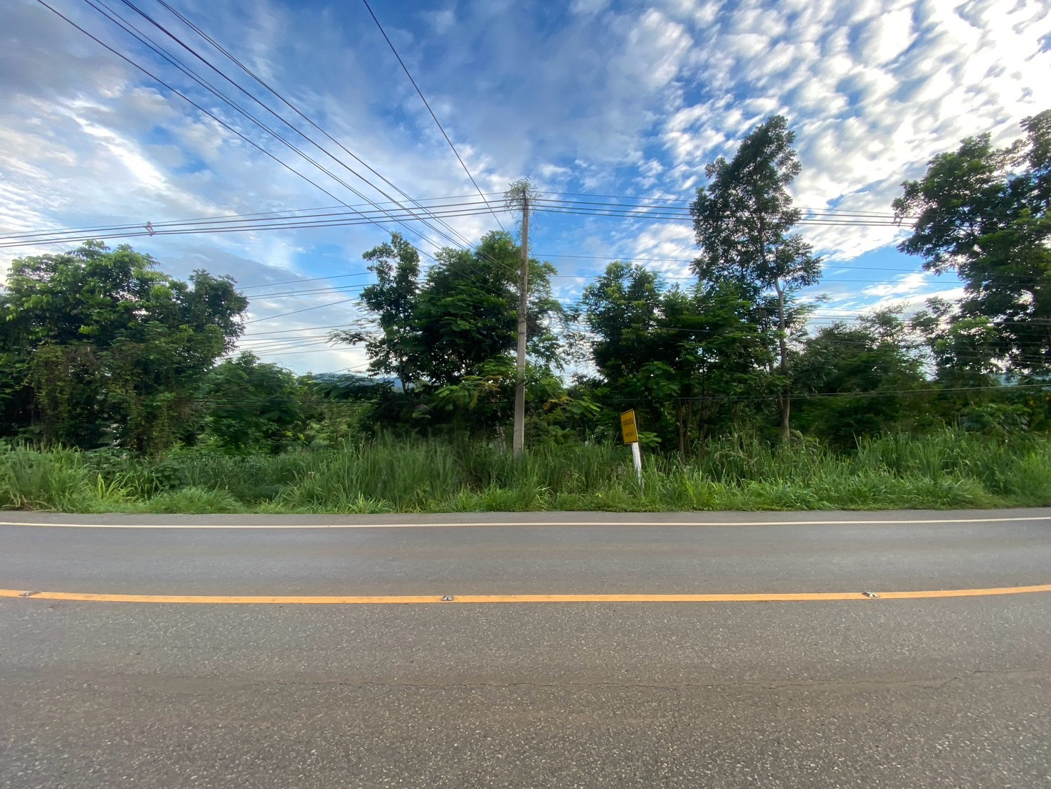 ที่ดินเขาใหญ่ น้ำไม่ท่วม ขายที่ดินเขาใหญ่ ไร่ครึ่ง ติดถนน กุดคล้า-ผ่านศึก (ทางหลวง1016) พญาเย็น ครุฑแดง ใกล้ถนนธนรัชต์
 – รูปที่ 3