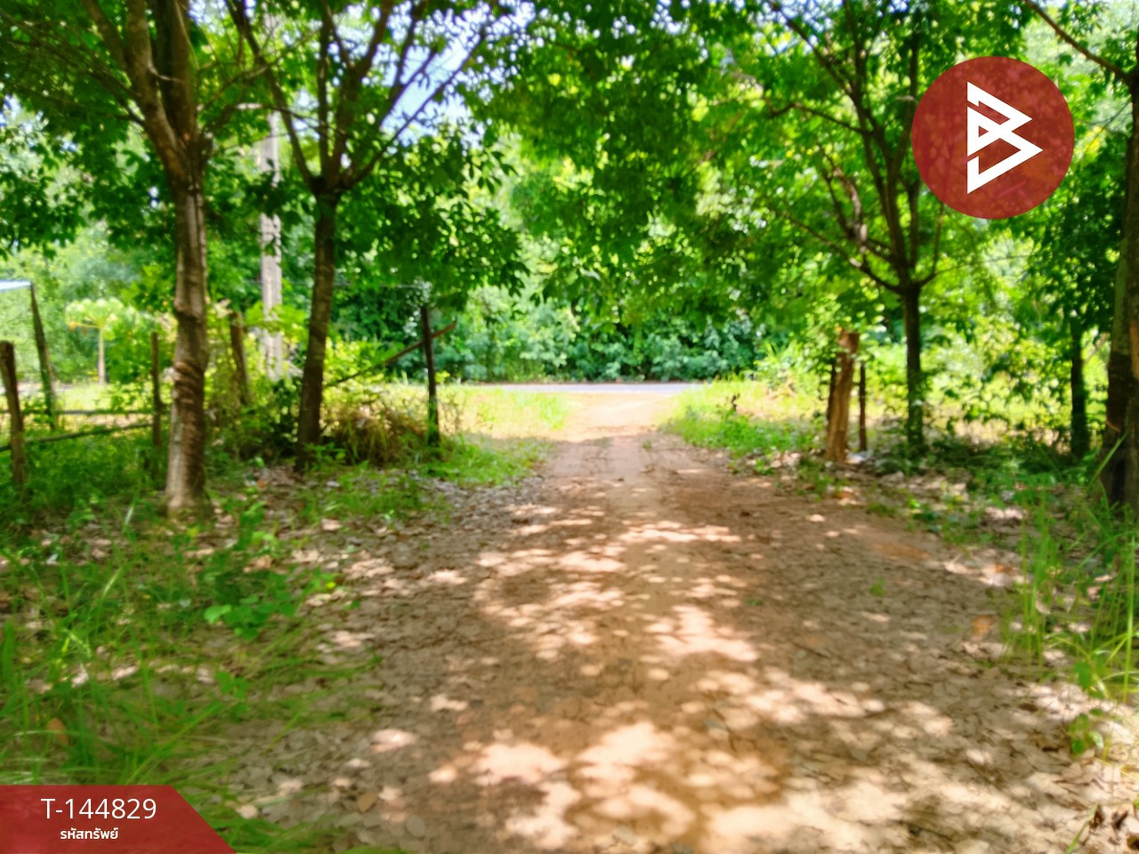 Land for sale, area 7 rai 3 ngan 43 sq m, Chom Phra, Surin. – รูปที่ 2