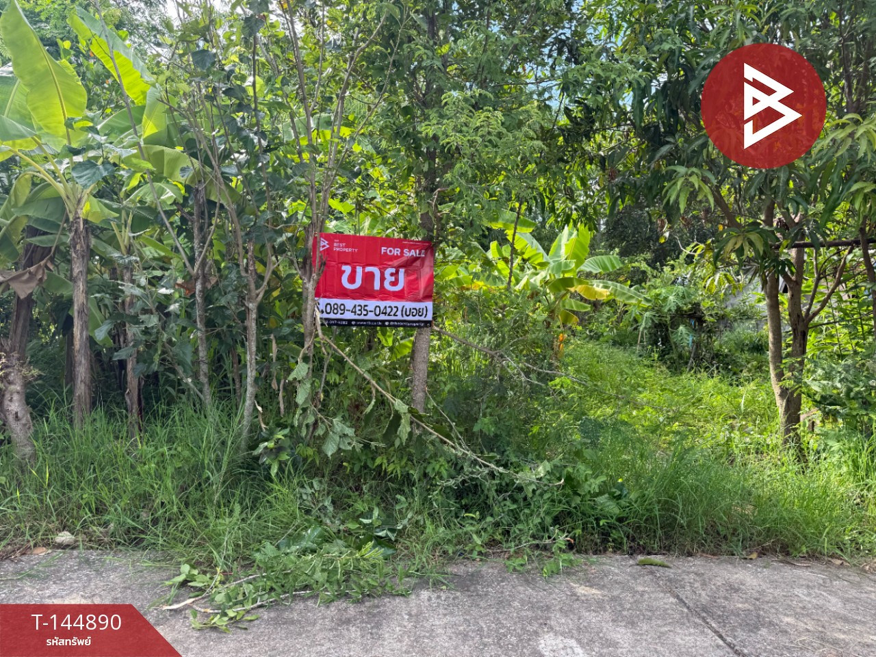 ขายที่ดิน เนื้อที่ 3 งาน 18 ตารางวา ซ.สันอุ้ม 5 ดอยสะเก็ด เชียงใหม่ – รูปที่ 2