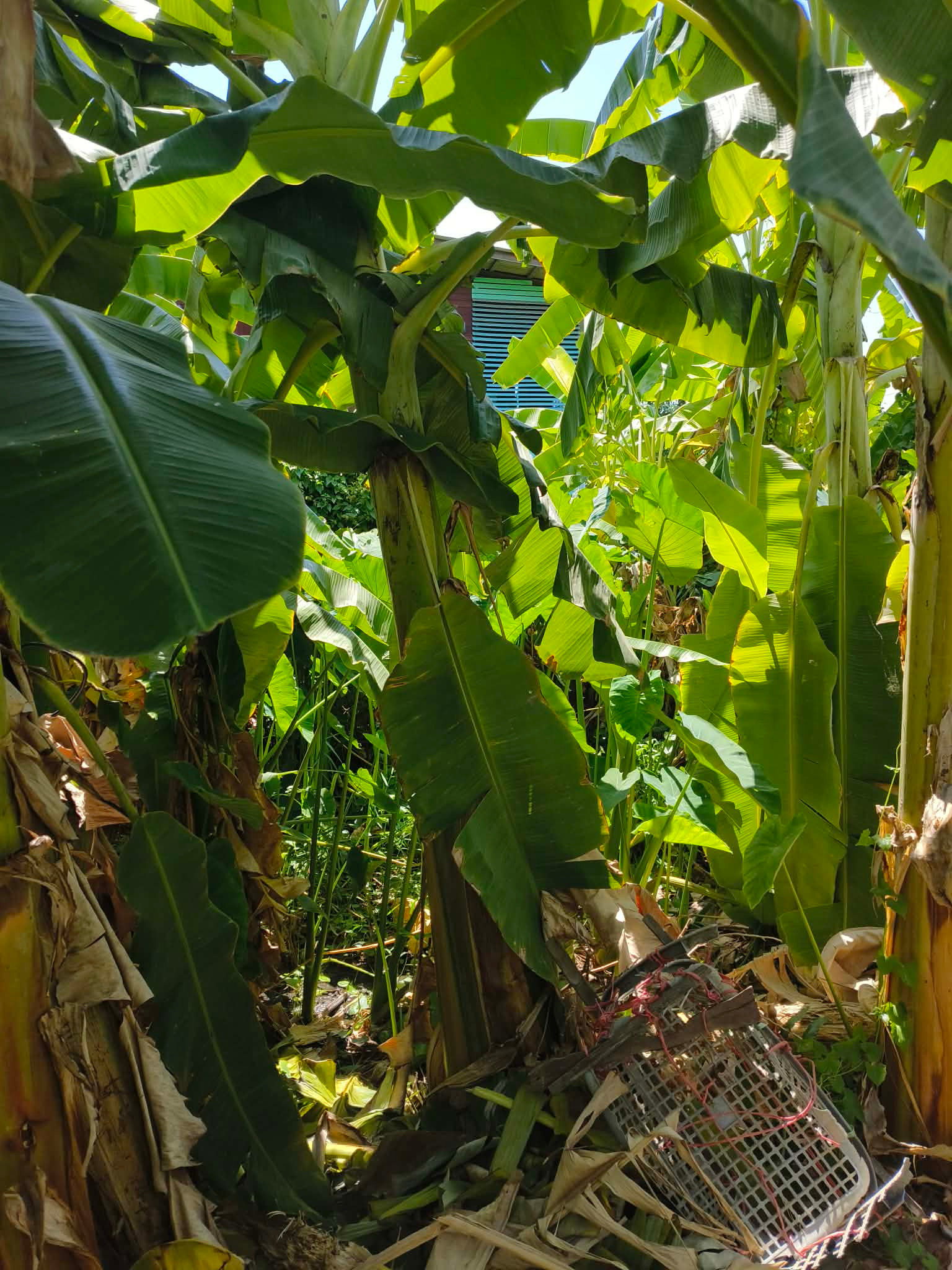 Invest safely with a small plot of land.