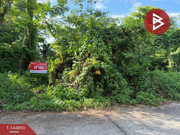 Land for sale, area 3 ngan 18 square wah, Soi San Um 5, Doi Saket, Chiang Mai.