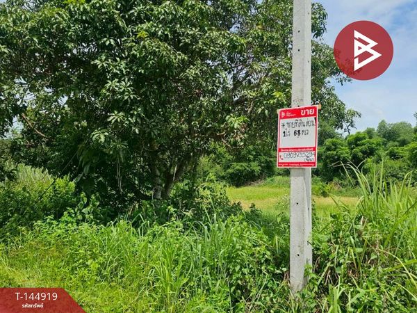 Land for sale, already filled, area 1 rai 68.4 square wa, Pak Tho District, Ratchaburi.