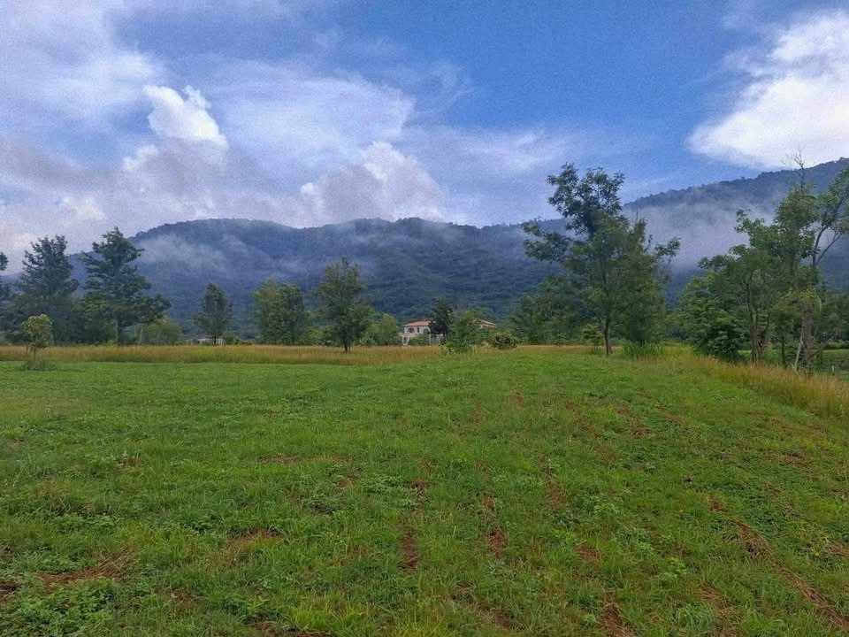 ที่ดิน🔥 TOSCANA 639ตรว 💎
 – รูปที่ 2