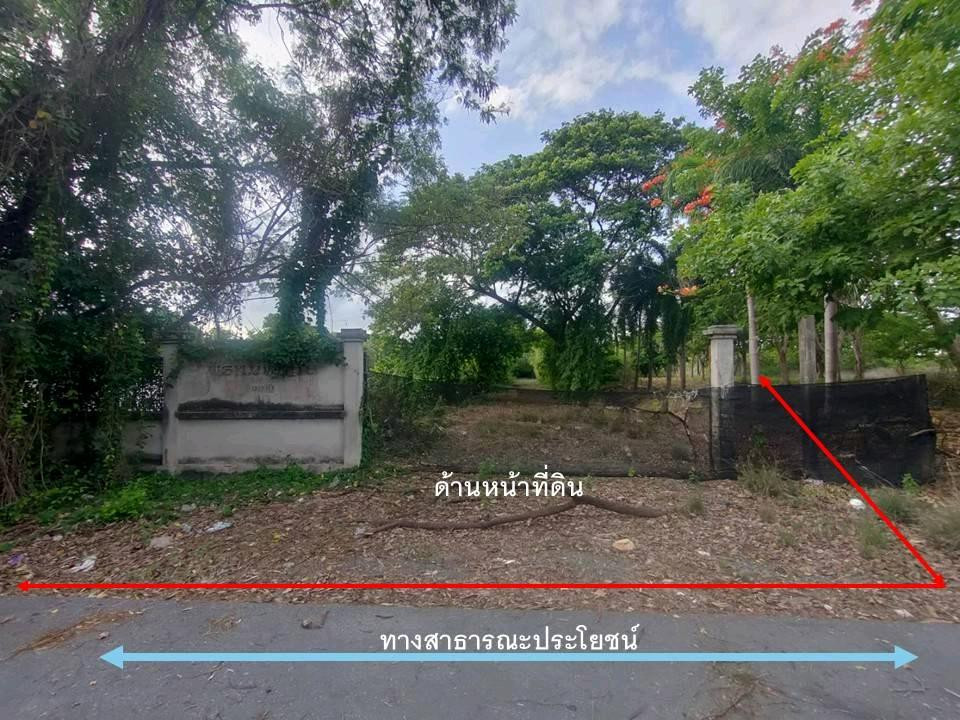 Beautiful plot of land, next to a canal on 2 sides, on Phutthamonthon Sai 2 location 🌿
📍 Soi Phutthamonthon Sai 2, Soi 19, enter the alley only 1.7 km.
Area 6 rai 3 ngan 39.5 sq m. 
Special price 81.9 million baht, average only 29,900 baht/sq m. Opportuni – รูปที่ 3