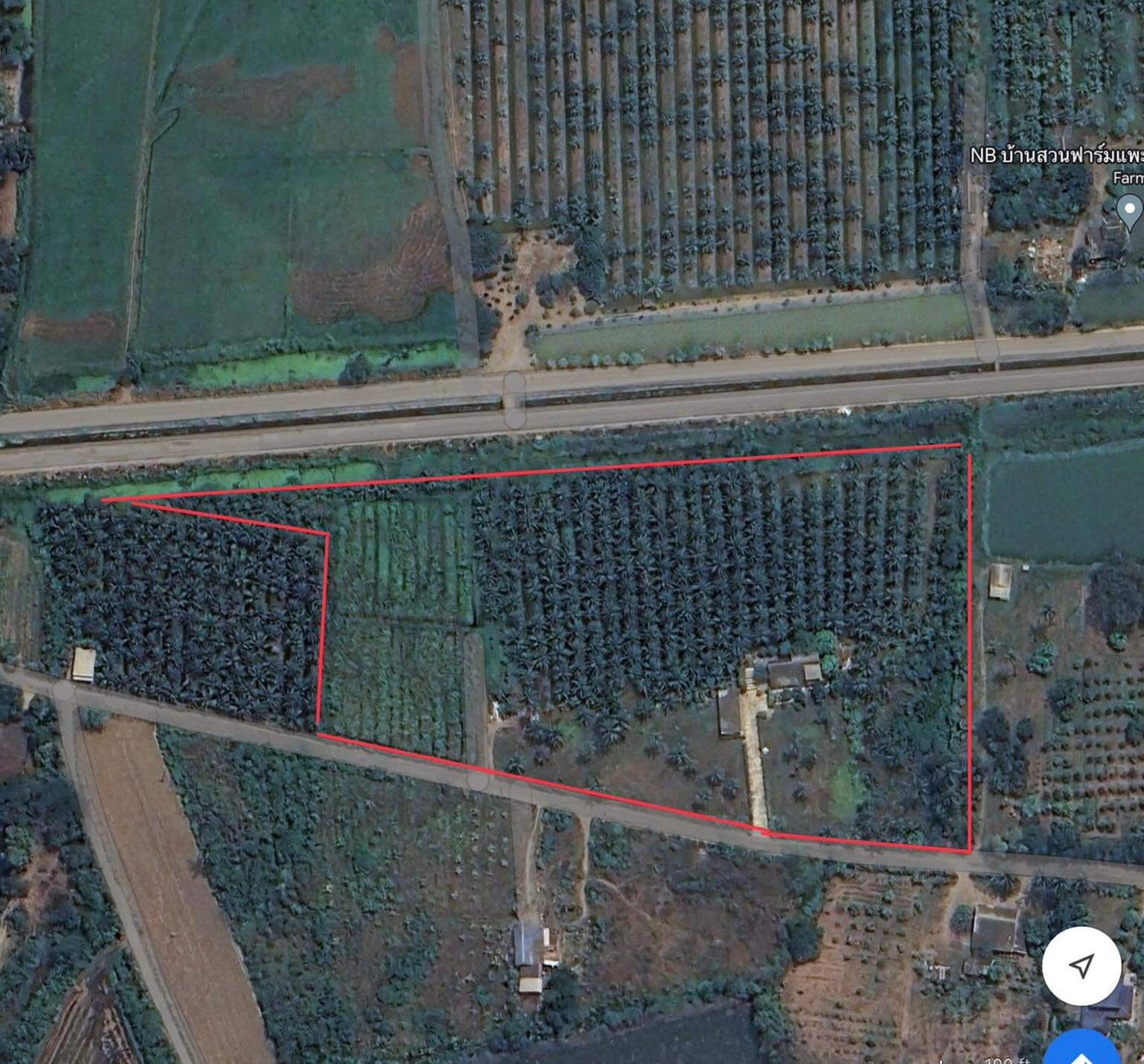 Coconut plantation land for sale, large plot, high potential location, Nakhon Pathom ( sells it himself) Coconut plantation land for sale, large plot, high potential location, Nakhon Pathom ( sells it himself)