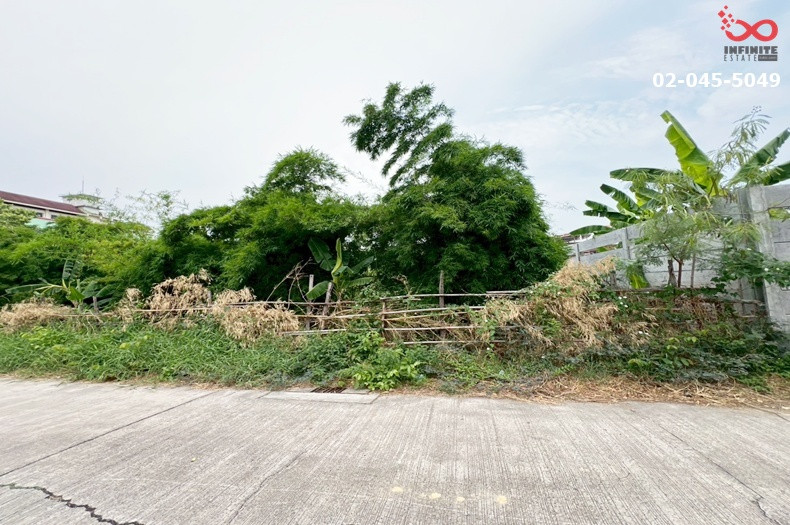 ขายที่ดิน 393 ตร.ว. ถนนศรีนครินทร์ อ่อนนุช 66 สวนหลวง ใกล้รถไฟฟ้าสายสีเหลือง – รูปที่ 4