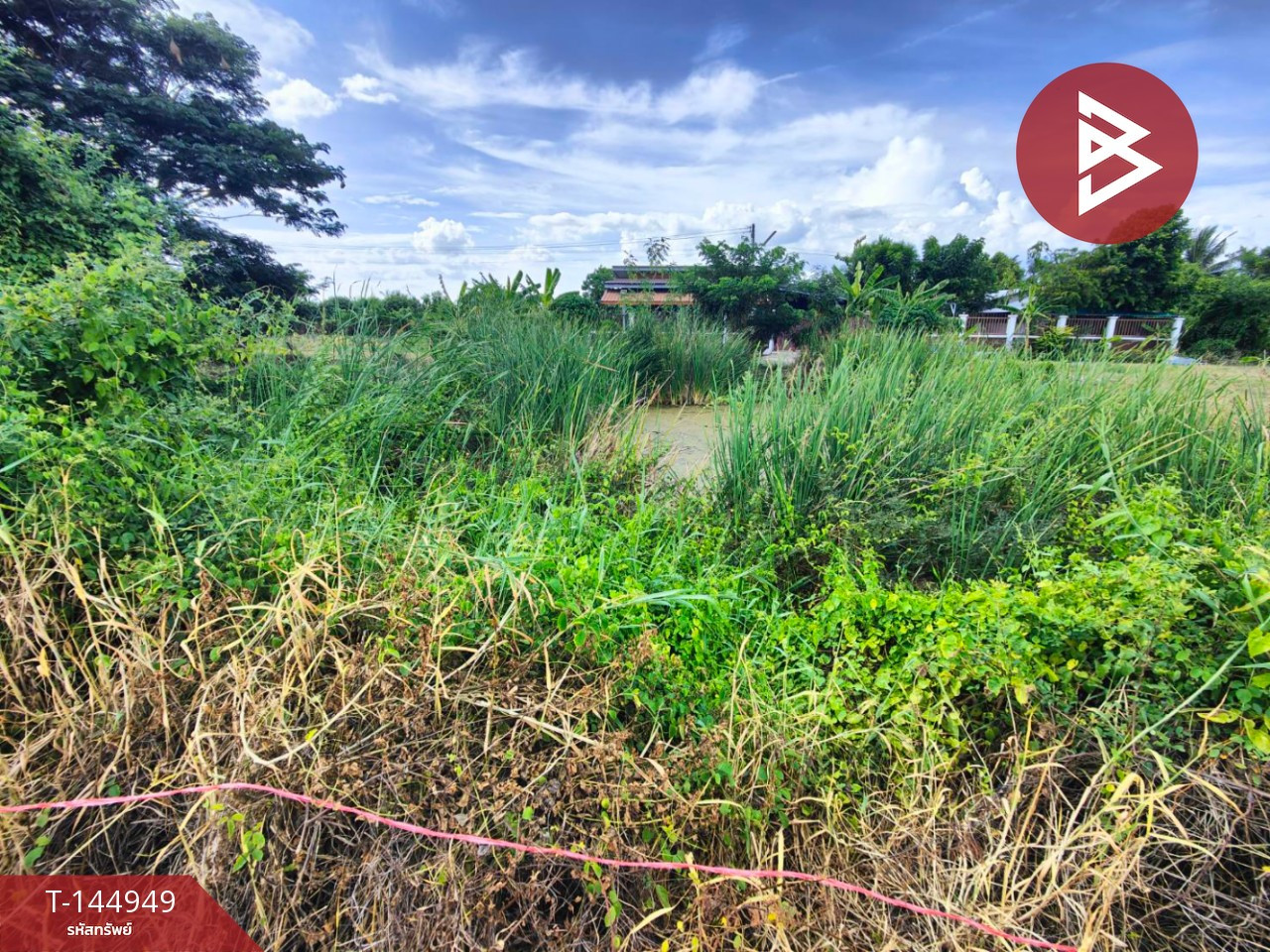 Land for sale, area 2 ngan, Sam Phran, Nakhon Pathom. – รูปที่ 2