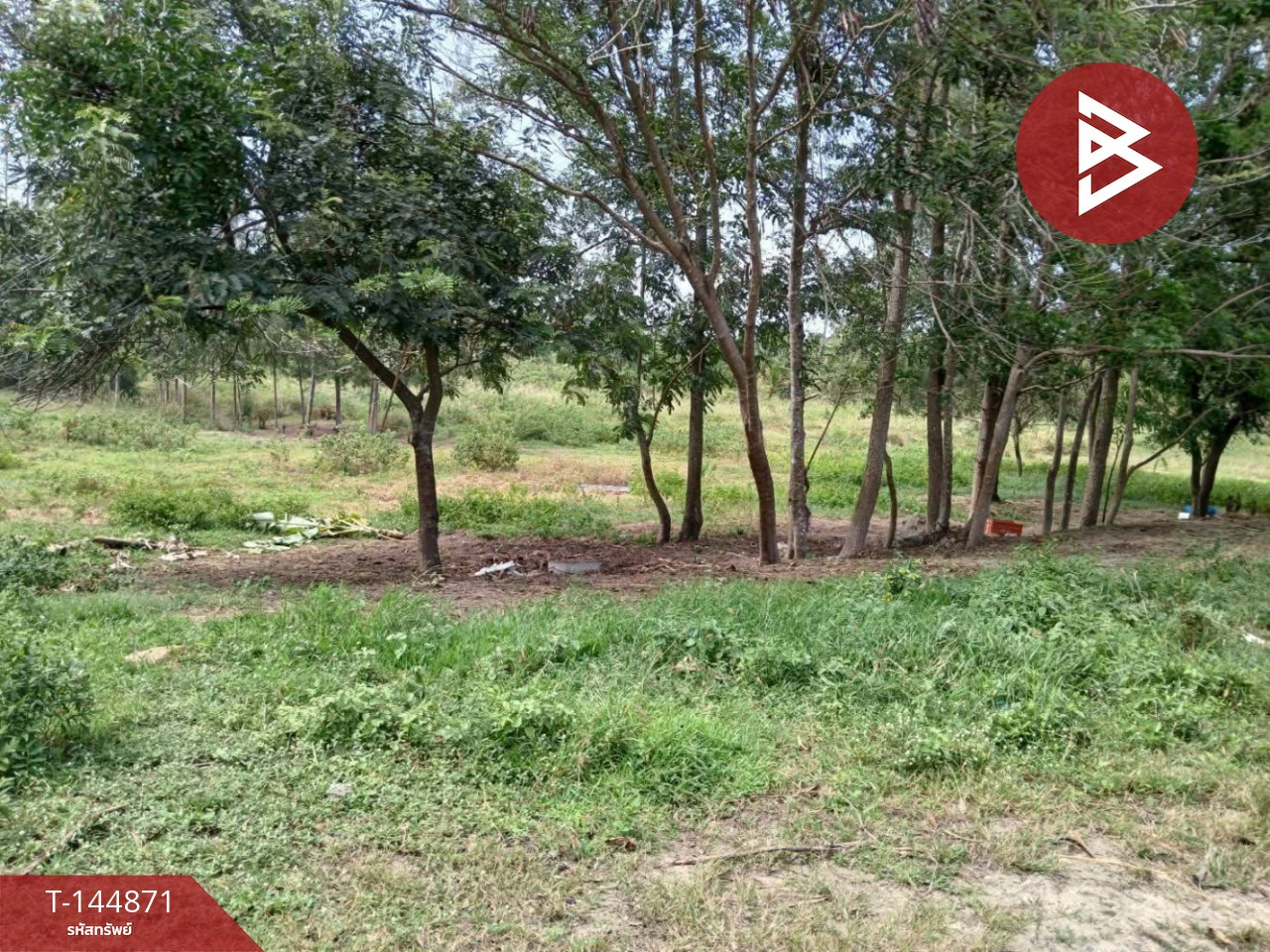 ขายที่ดิน เนื้อที่ 7 ไร่ 3 งาน 81.6 ตร.วา ห้วยทราย ประจวบคีรีขันธ์ – รูปที่ 3