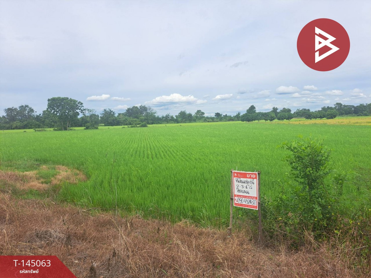 ขายที่ดิน เนื้อที่ 2 ไร่ 3 งาน 6 ตร.วา ชุมแสง นครสวรรค์ – รูปที่ 2