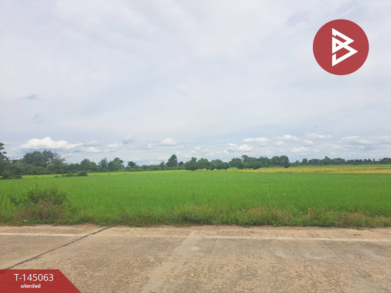 ขายที่ดิน เนื้อที่ 2 ไร่ 3 งาน 6 ตร.วา ชุมแสง นครสวรรค์ – รูปที่ 3