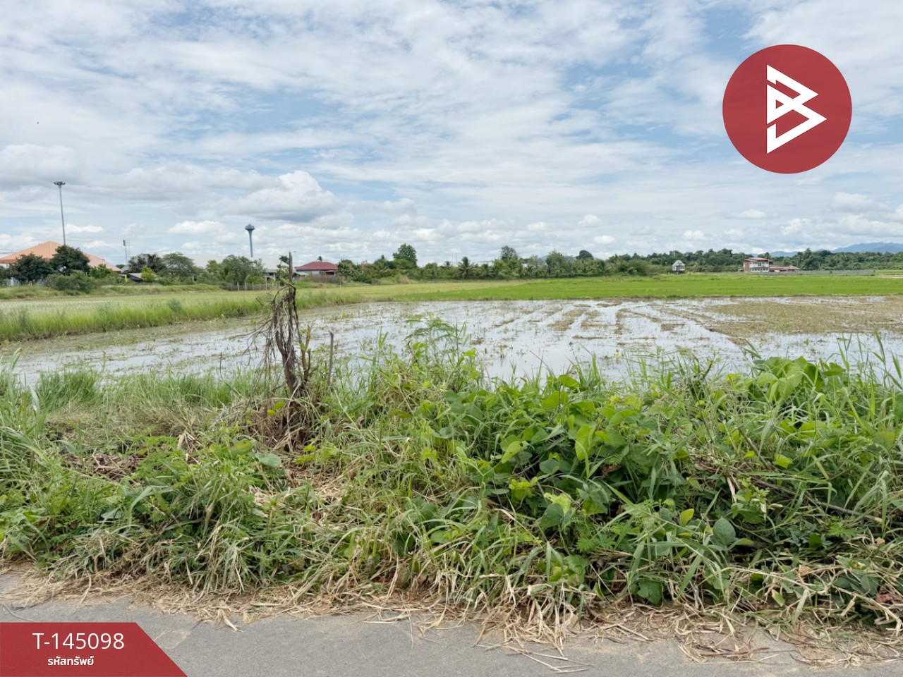 Land for sale, area 1 rai 2 ngan 73 sq m, Pa Sang, Lamphun. – รูปที่ 4
