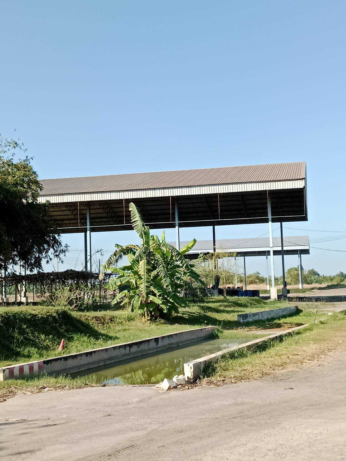 Factory for sale with 2 Ngor.106 licenses, industrial location, Plaeng Yao District, Chachoengsao Province. – รูปที่ 4