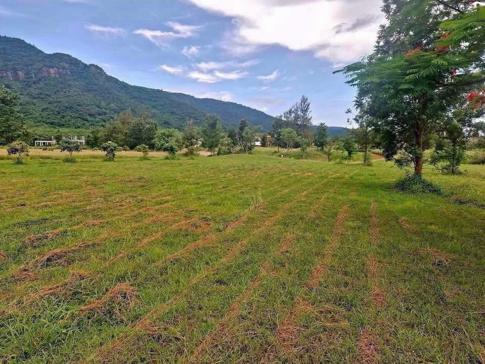 ที่ดิน🔥 TOSCANA 639ตรว 💎
 – รูปที่ 3