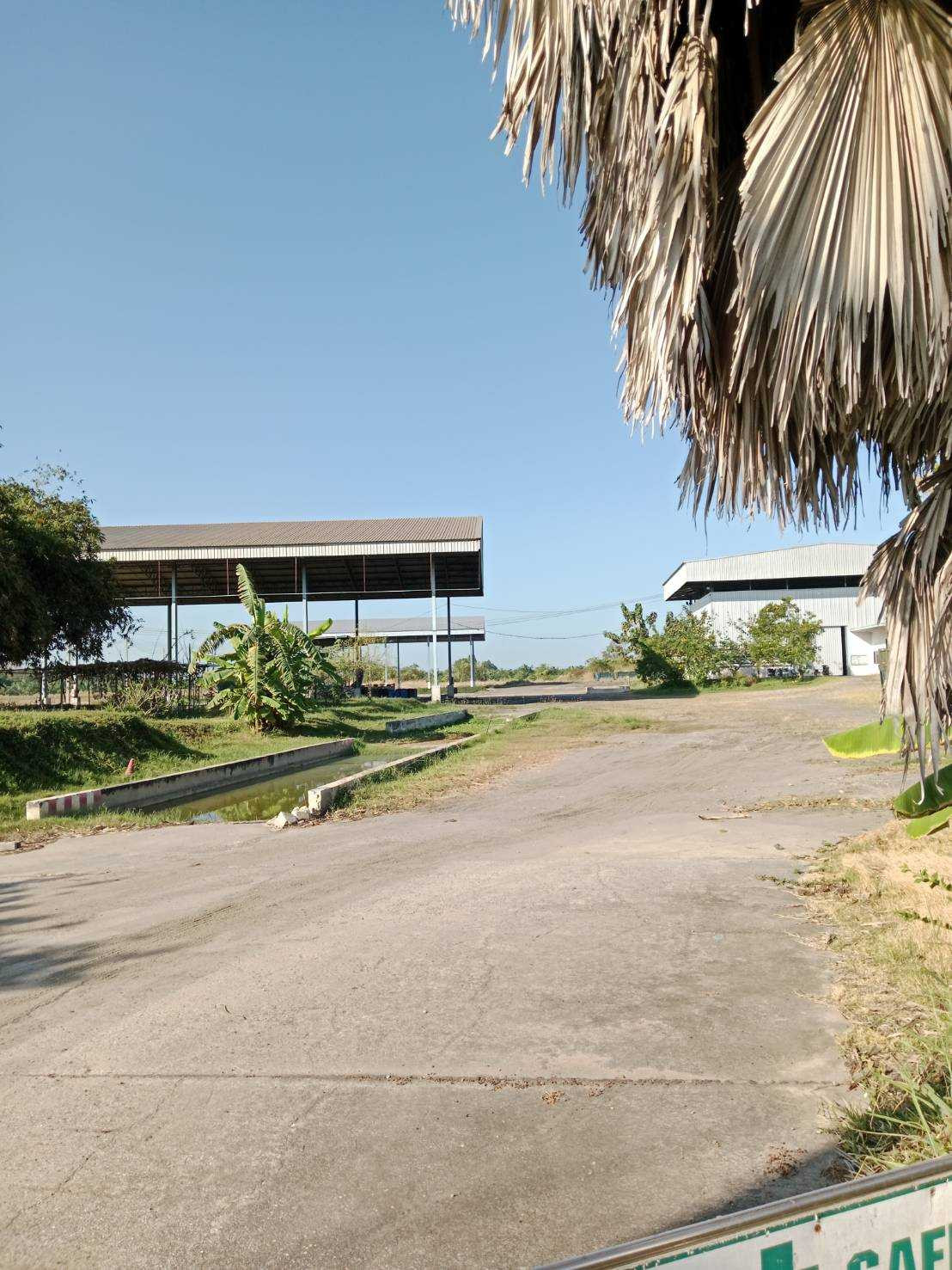 Factory for sale with 2 Ngor.106 licenses, industrial location, Plaeng Yao District, Chachoengsao Province. – รูปที่ 3