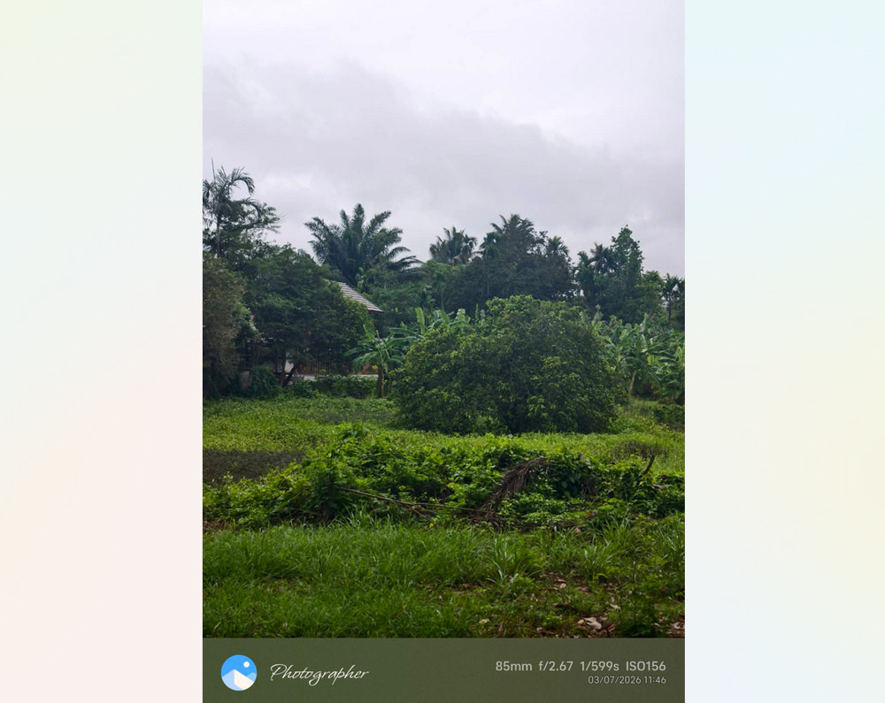 Call : 093-596-9441 Land 556 sq.wa near Chumphon city center 1.5 km, Located on Road 2009, Tak Daed, Mueang Chumphon – รูปที่ 3