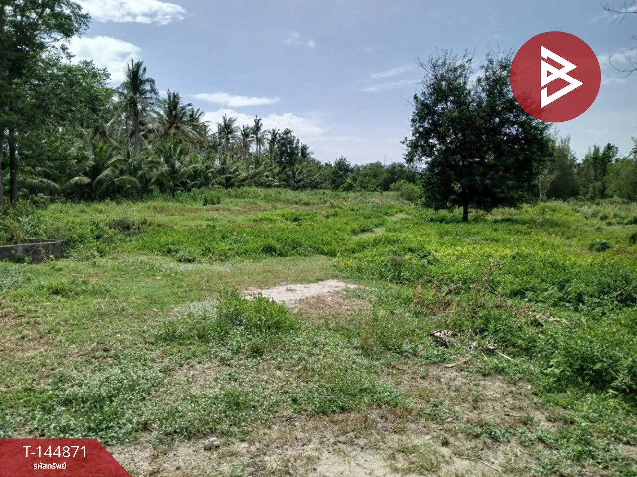 ขายที่ดิน เนื้อที่ 7 ไร่ 3 งาน 81.6 ตร.วา ห้วยทราย ประจวบคีรีขันธ์ – รูปที่ 4