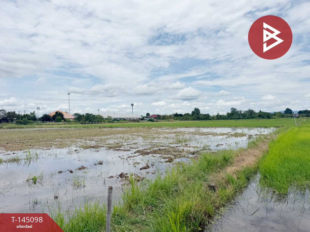 Land for sale, area 1 rai 2 ngan 73 sq m, Pa Sang, Lamphun. – รูปที่ 3