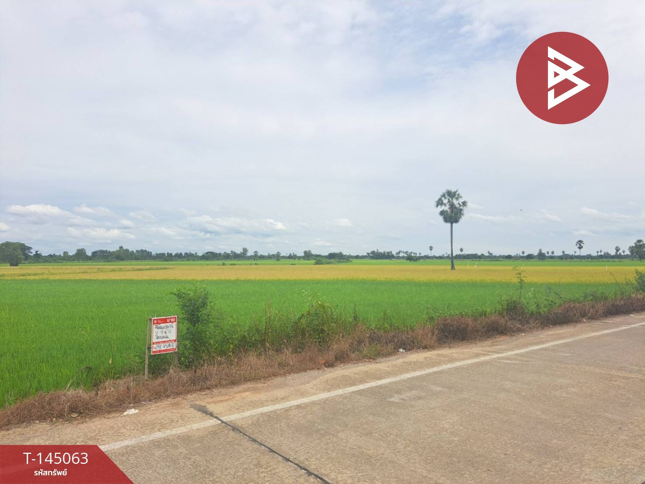 ขายที่ดิน เนื้อที่ 2 ไร่ 3 งาน 6 ตร.วา ชุมแสง นครสวรรค์ – รูปที่ 4