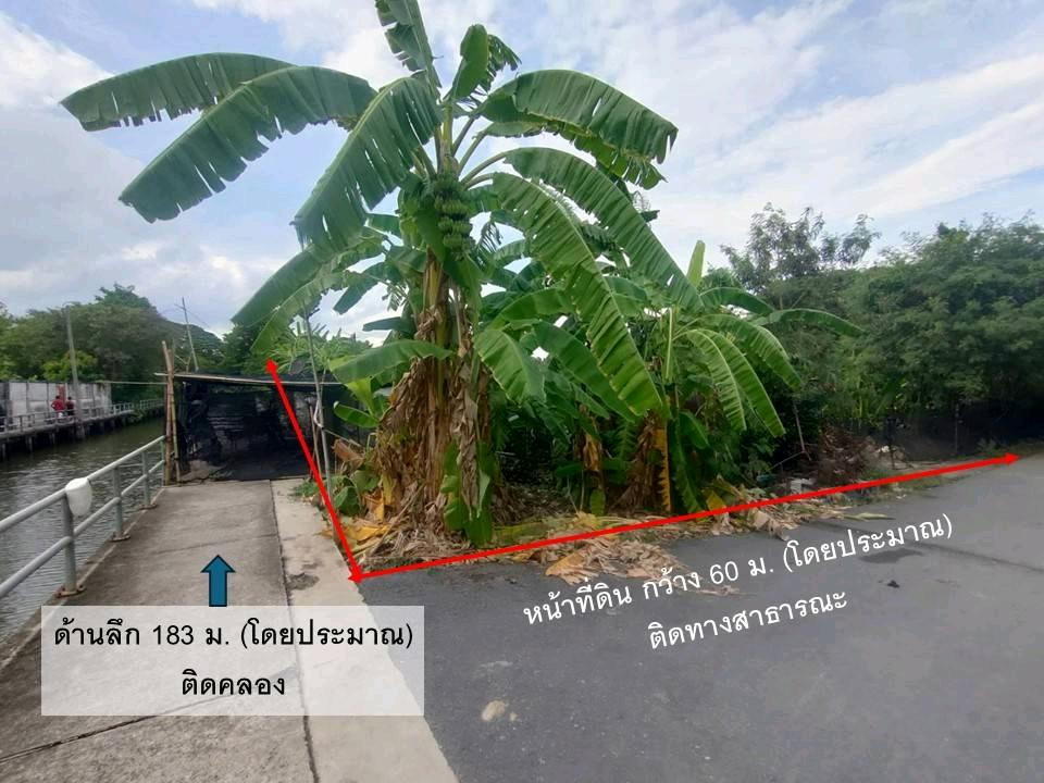 Beautiful plot of land, next to a canal on 2 sides, on Phutthamonthon Sai 2 location 🌿
📍 Soi Phutthamonthon Sai 2, Soi 19, enter the alley only 1.7 km.
Area 6 rai 3 ngan 39.5 sq m. 
Special price 81.9 million baht, average only 29,900 baht/sq m. Opportuni – รูปที่ 4