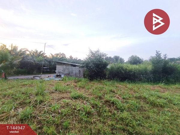 Land for sale, area 3 rai, near Rojana Industrial Estate, Nong Yai, Nong Phai Kaeo, Ban Bueng, Chonburi.