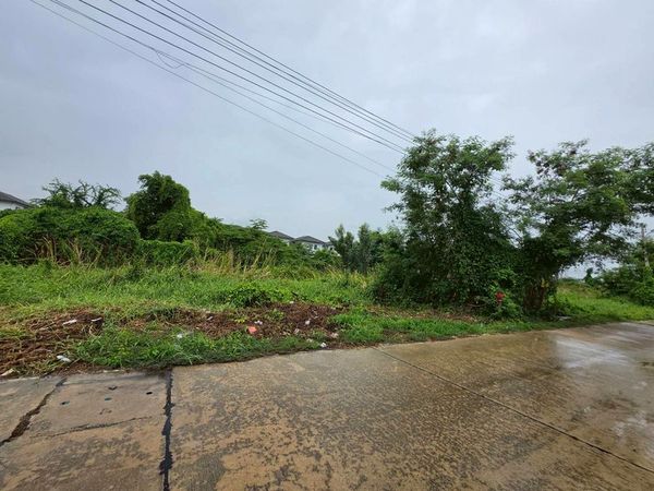 Land for Sale Near Bangkok University (Rangsit Campus)