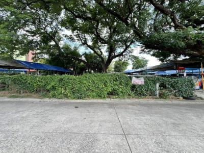 Land Chaengwattana 13 Yeak 3 / 100 Square Wa (FOR SALE) TPM427