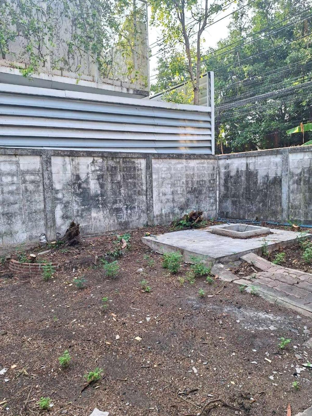 ที่ดินพร้อมสิ่งปลูกสร้าง ซอยศรีนครินทร์ 38 / 141 ตร.วา (ขาย), Land with buildings, Soi Srinakarin 38. / 141 Square Wa (FOR SALE) GNG181 ที่ดินพร้อมสิ่งปลูกสร้าง ซอยศรีนครินทร์ 38 / 141 ตร.วา (ขาย), Land with buildings, Soi Srinakarin 38. / 141 Square Wa (FOR SALE) GNG181