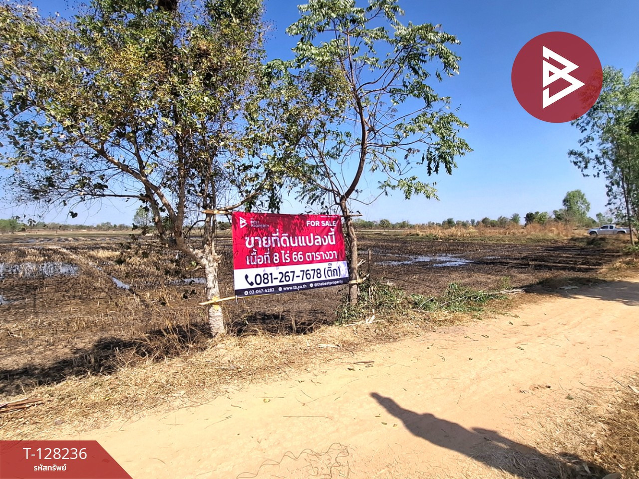 ขายที่ดิน เนื้อที่ 8 ไร่ 66 ตร.วา จังหาร ร้อยเอ็ด – รูปที่ 4
