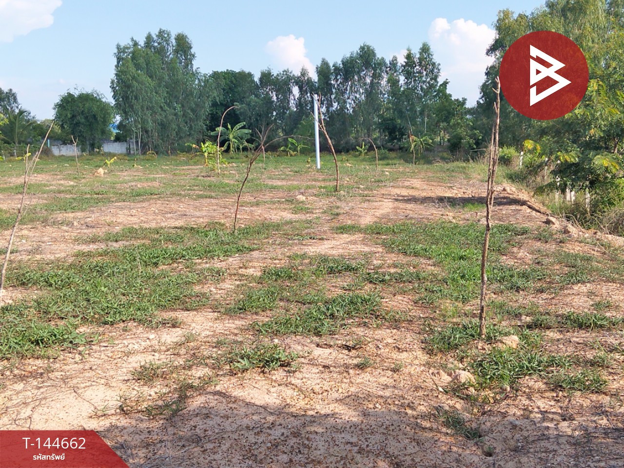 Land for sale, area 3 rai 30.9 square wa, Nong Ya Sai, Suphan Buri. – รูปที่ 3