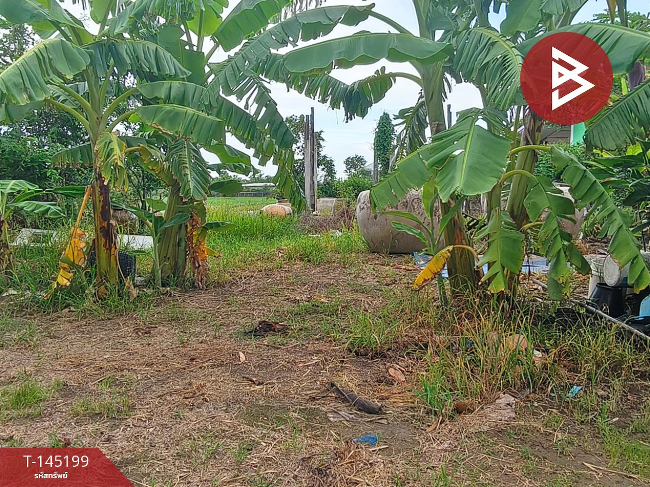 Land for sale, area 3 rai 36 square wa, Tha Khai Subdistrict, Mueang Chachoengsao. – รูปที่ 4