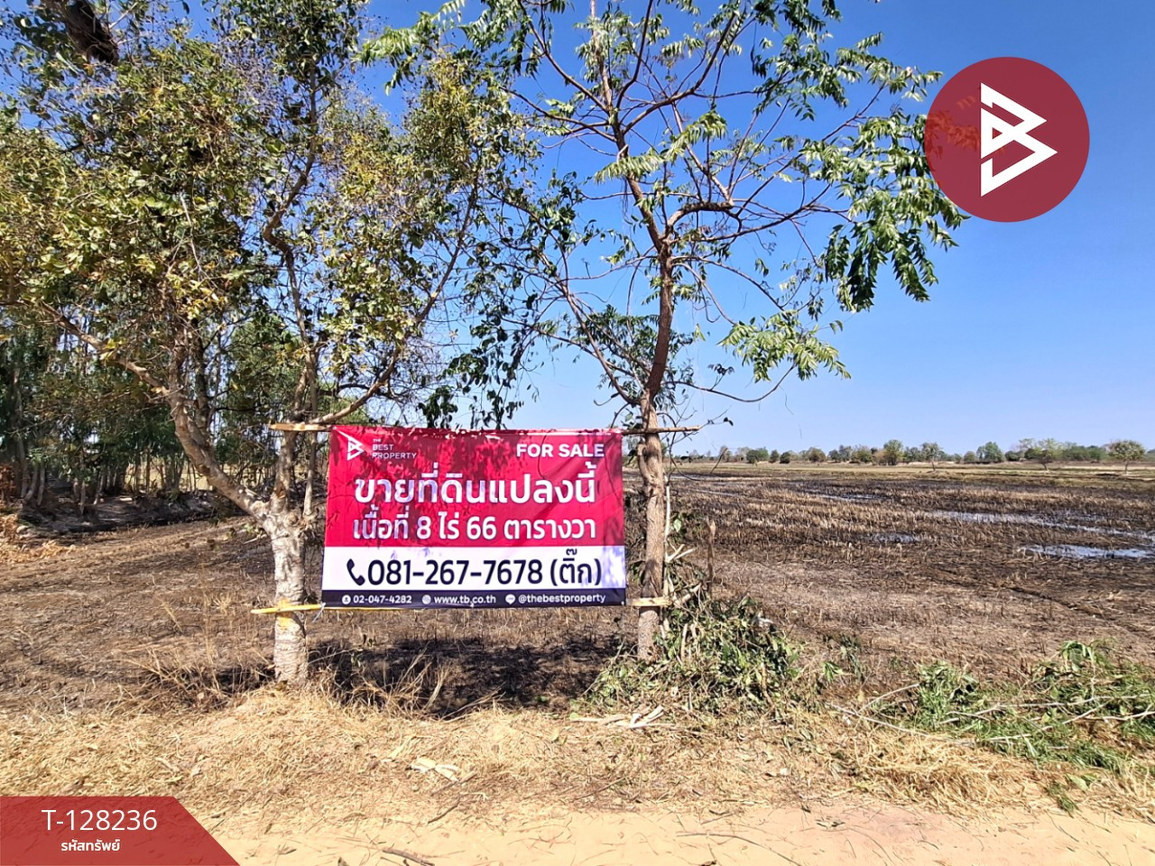 ขายที่ดิน เนื้อที่ 8 ไร่ 66 ตร.วา จังหาร ร้อยเอ็ด ขายที่ดิน เนื้อที่ 8 ไร่ 66 ตร.วา จังหาร ร้อยเอ็ด