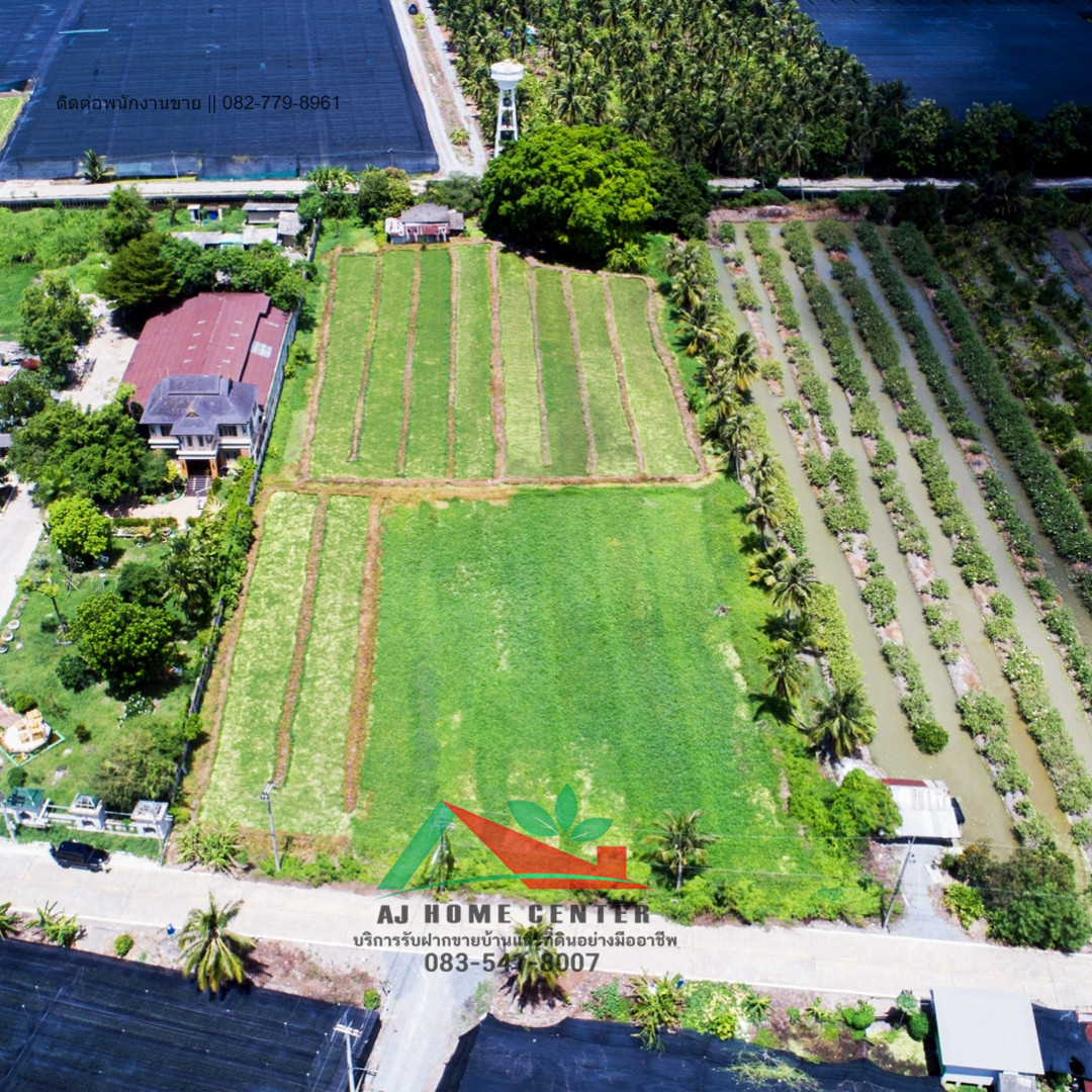 Empty land for sale, 5-0-47 rai, pink layout, next to the road on 2 sides, Soi Bang Yang Subdistrict Administrative Organization, price ready to negotiate. – รูปที่ 3