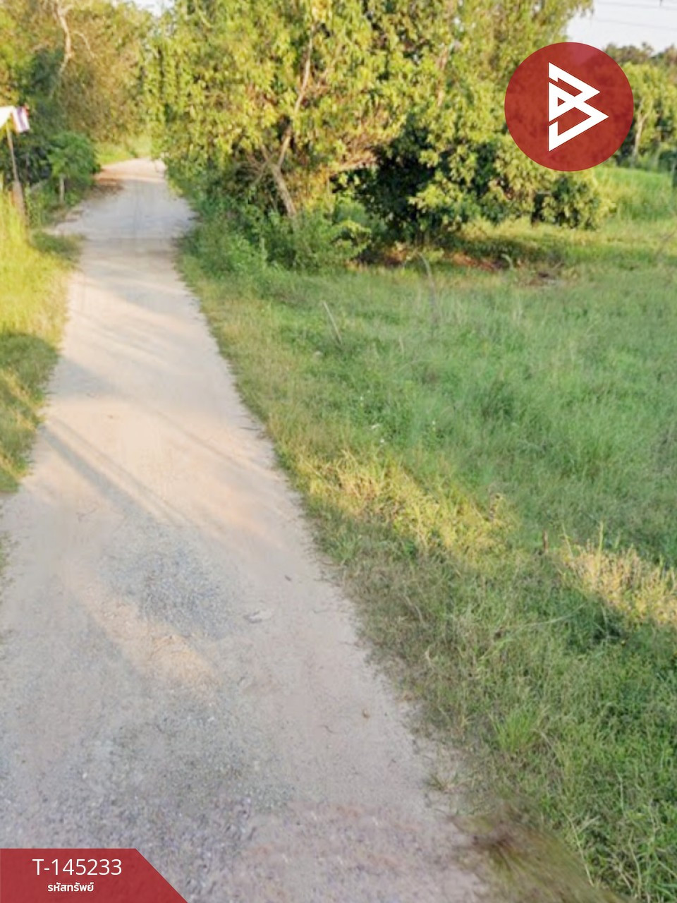 Empty land for sale, area 1 rai 1 ngan 94.1 square wah, San Sai Subdistrict, Chiang Rai Province, good atmosphere. – รูปที่ 3