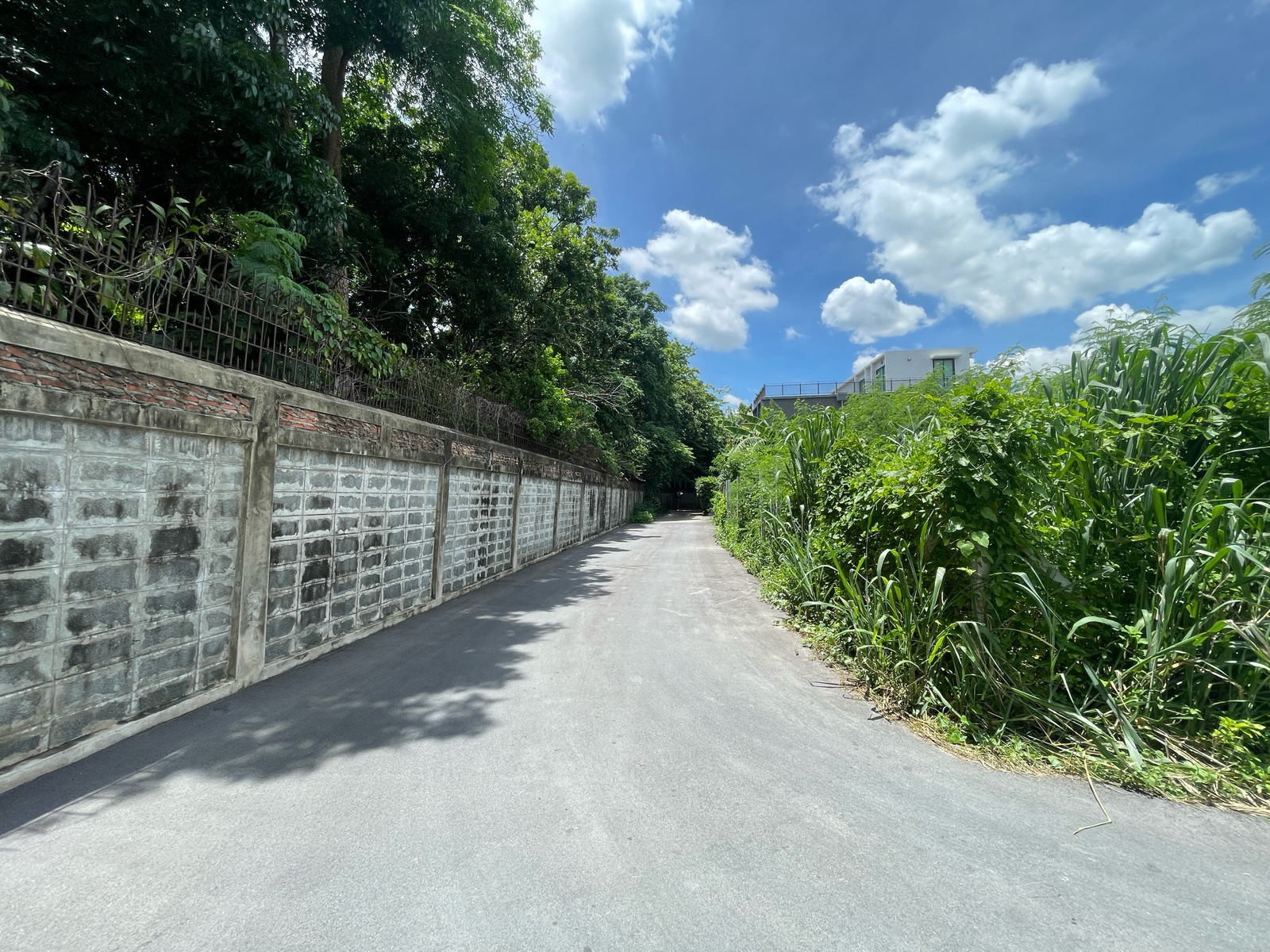 Urgent sale, land at Phahonyothin 30, size 1 rai 100 sq m, next to BTS Ratchayothin 1 km. 
 120,000 per sq m. – รูปที่ 4