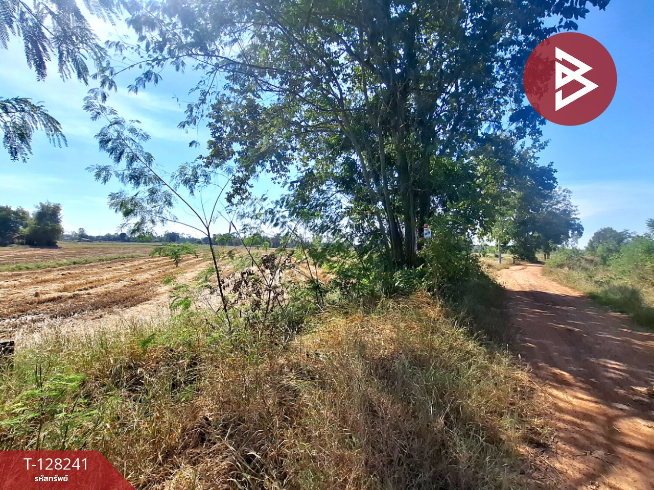 Land for sale, area 3 rai 1 ngan 5 sq m, Changhan, Roi Et. – รูปที่ 2