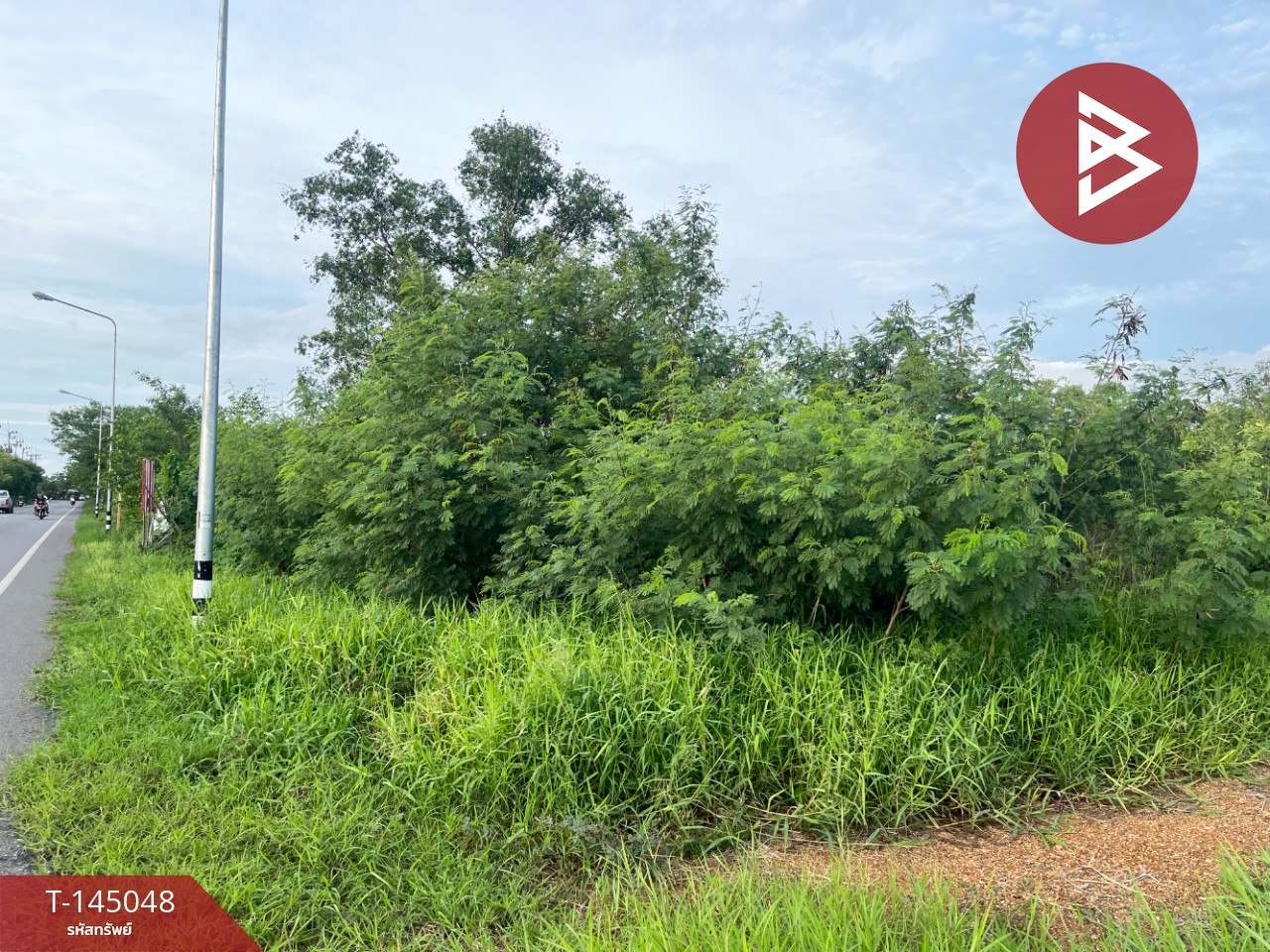 ขายที่ดิน เนื้อที่ 32 ไร่ 2 งาน 22.1 ตร.วา บ้านโพธิ์ ฉะเชิงเทรา ขายที่ดิน เนื้อที่ 32 ไร่ 2 งาน 22.1 ตร.วา บ้านโพธิ์ ฉะเชิงเทรา