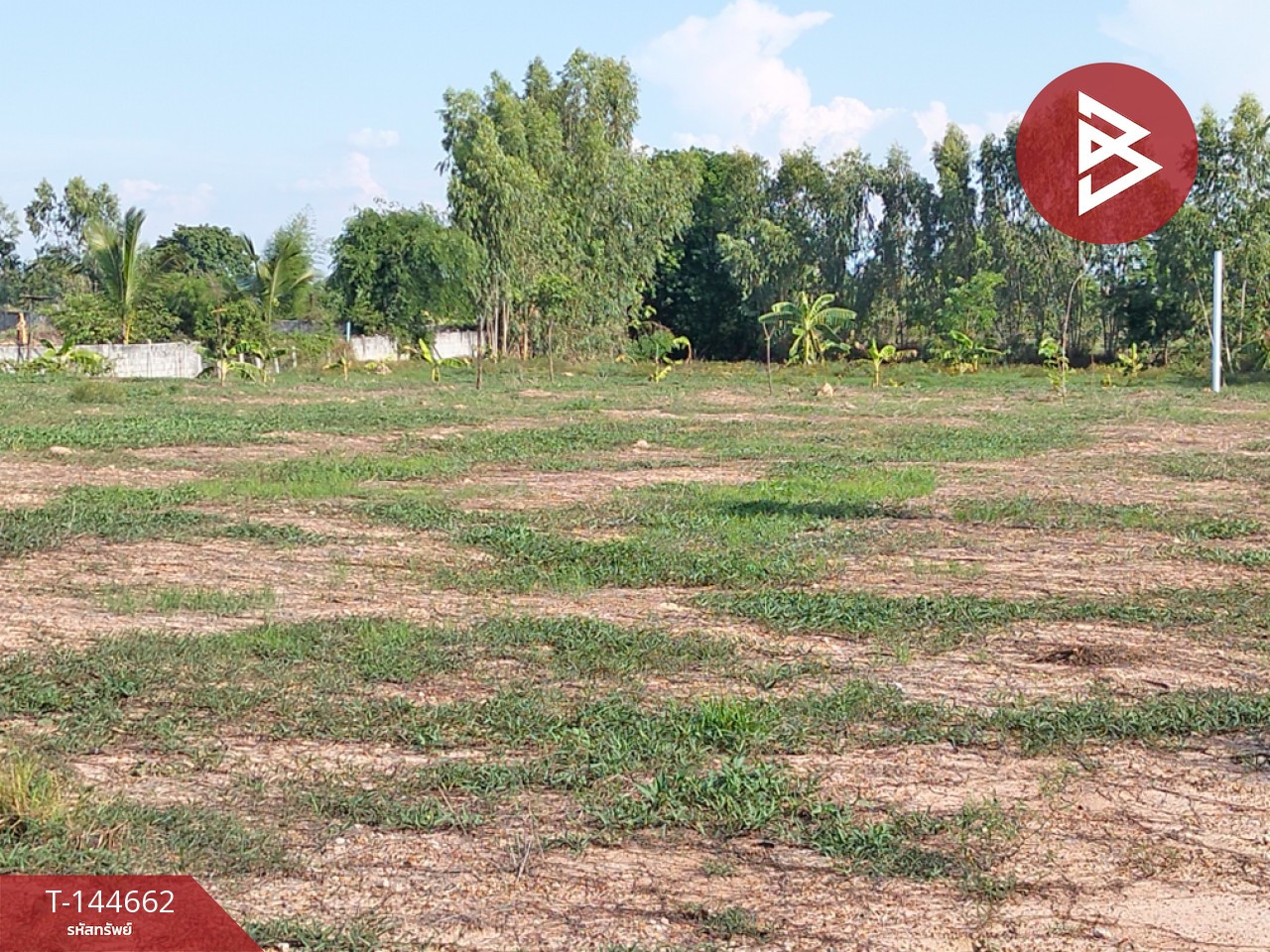 Land for sale, area 3 rai 30.9 square wa, Nong Ya Sai, Suphan Buri. – รูปที่ 4