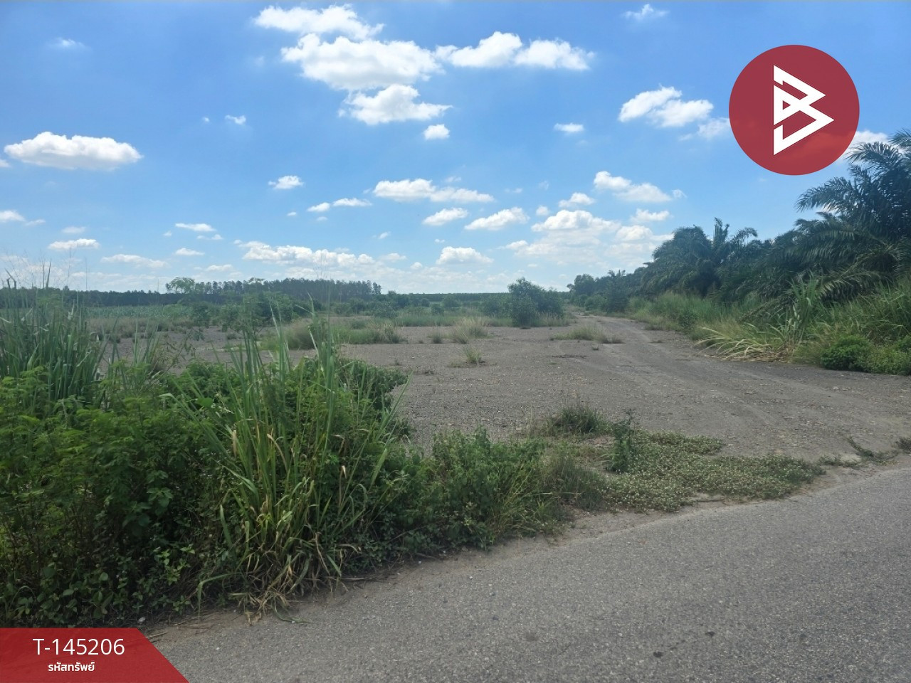 Land for sale, area 10 rai, Plaeng Yao District, Chachoengsao, green area, next to a paved road. – รูปที่ 3