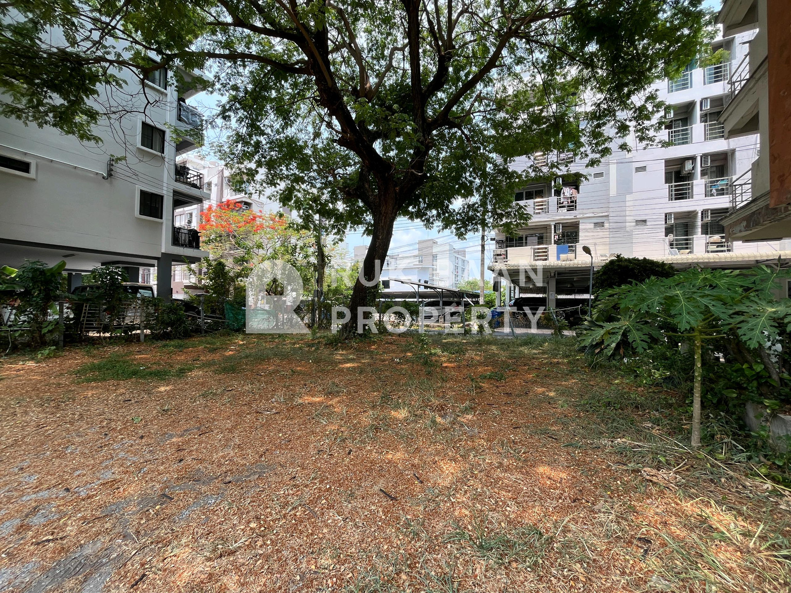 ขายที่ดิน/SALE✨ ที่ดิน ซอยประดิษฐ์มนูธรรม 6 – รูปที่ 3