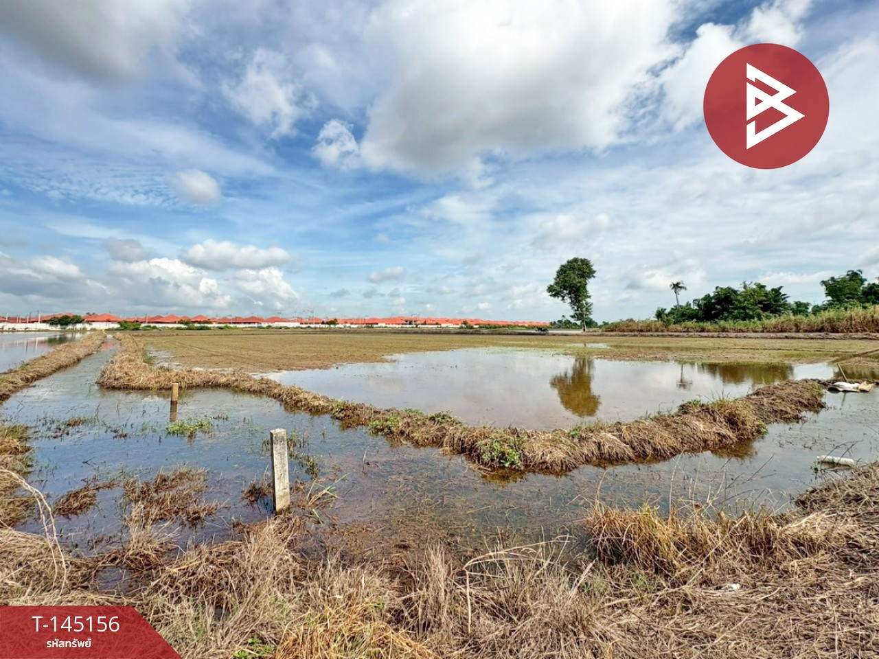 ขายที่ดิน เนื้อที่ 45 ไร่ 2 งาน 63.7 ตารางวา ท่าไข่ ฉะเชิงเทรา – รูปที่ 4