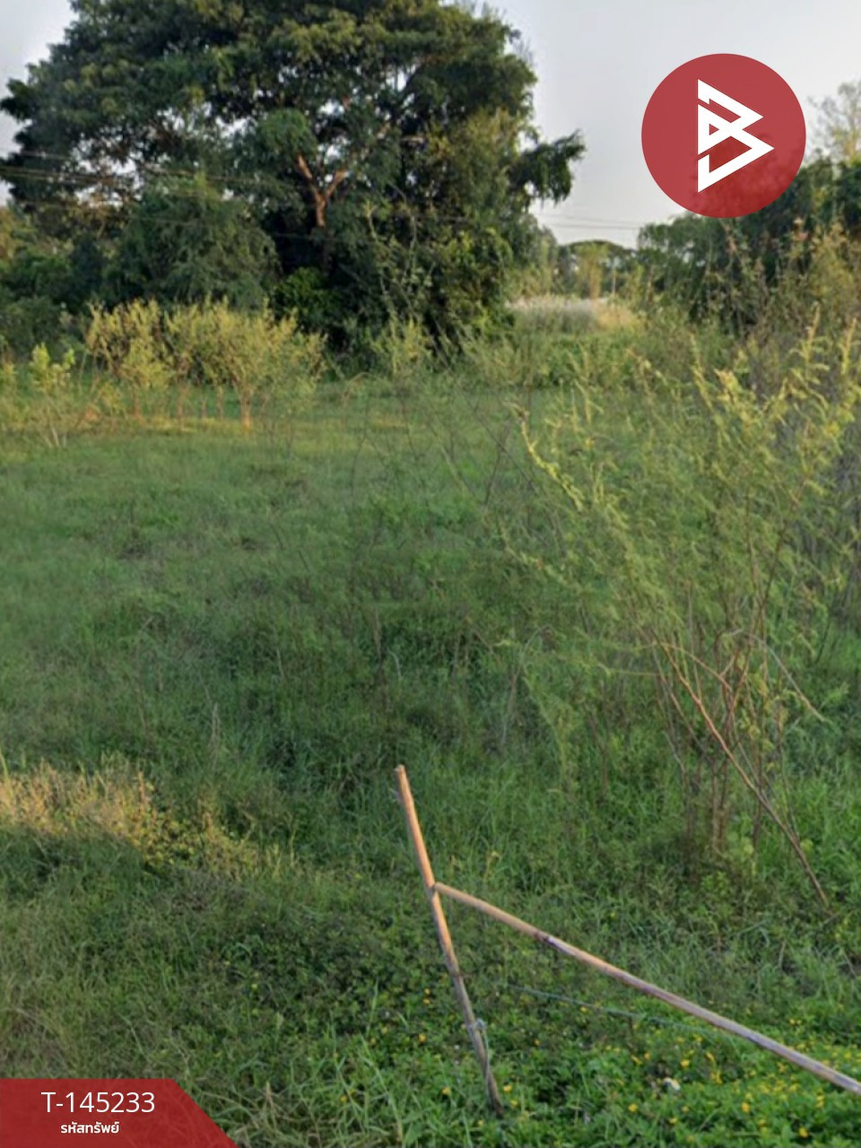 Empty land for sale, area 1 rai 1 ngan 94.1 square wah, San Sai Subdistrict, Chiang Rai Province, good atmosphere. – รูปที่ 2