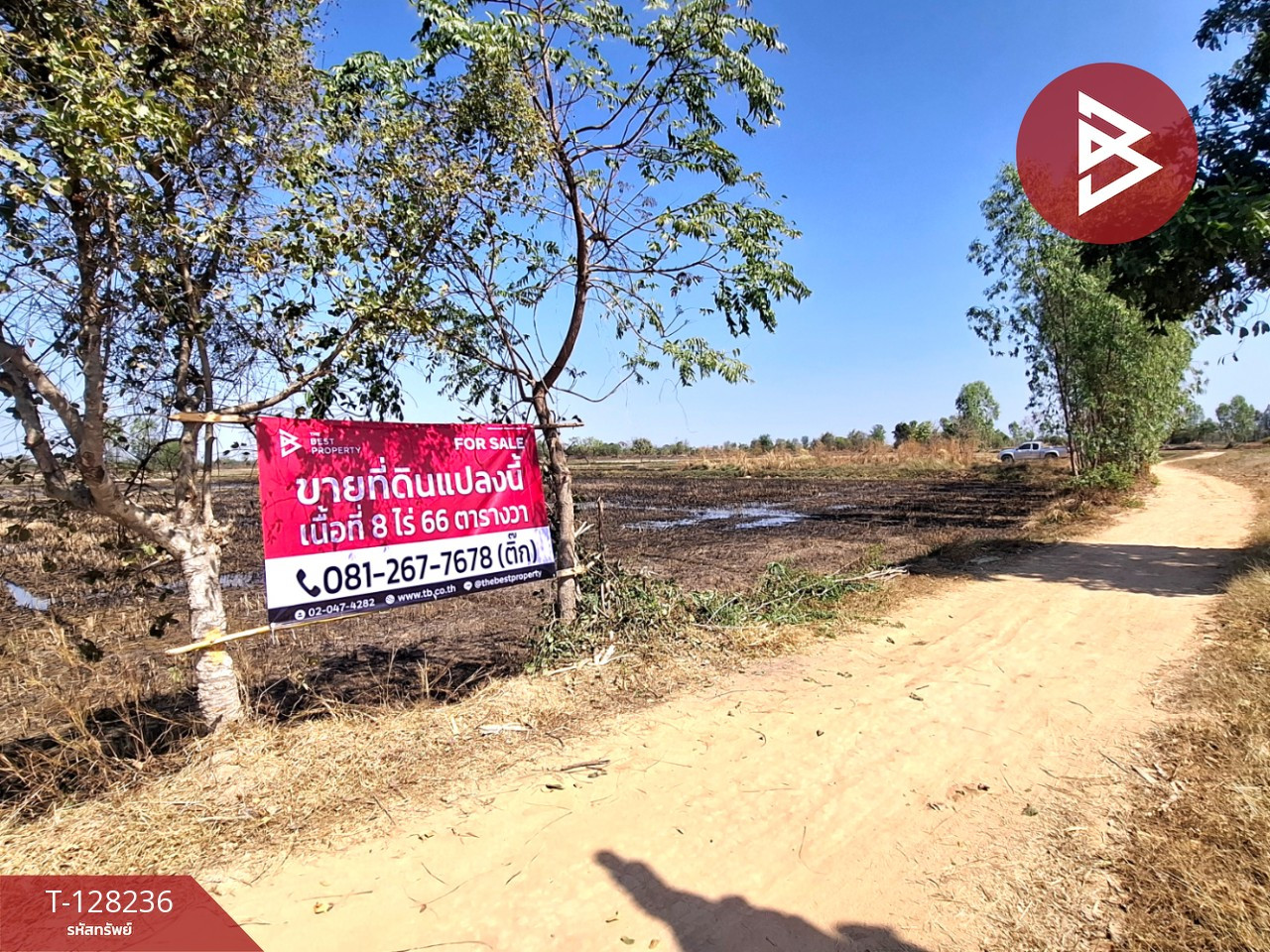 ขายที่ดิน เนื้อที่ 8 ไร่ 66 ตร.วา จังหาร ร้อยเอ็ด – รูปที่ 2
