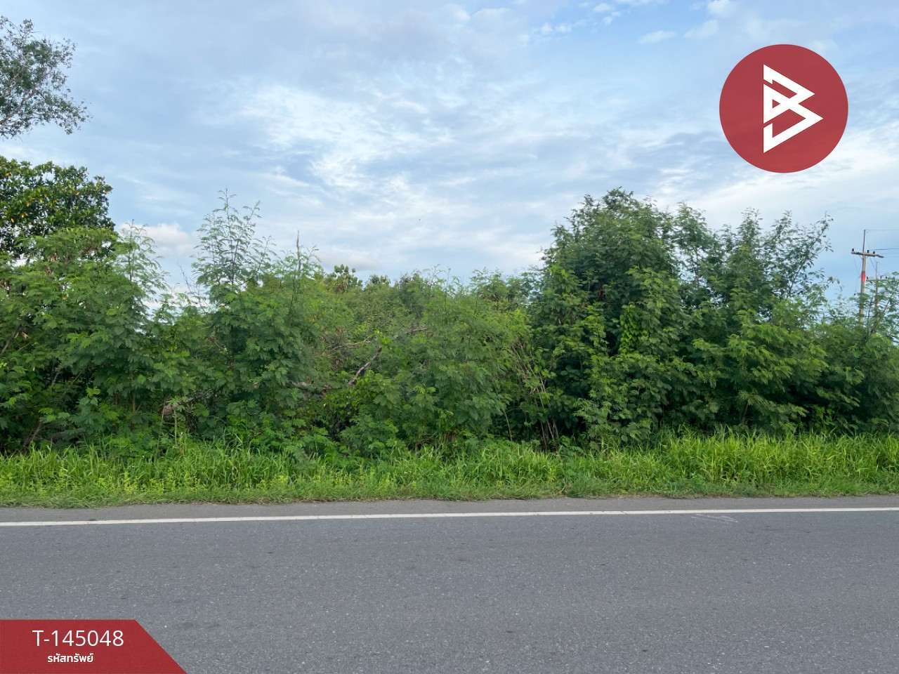 Land for sale, area 32 rai 2 ngan 22.1 sq m, Ban Pho, Chachoengsao. – รูปที่ 4