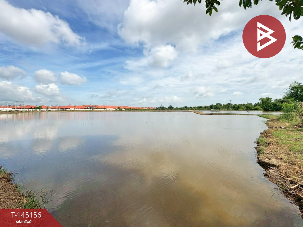 ขายที่ดิน เนื้อที่ 45 ไร่ 2 งาน 63.7 ตารางวา ท่าไข่ ฉะเชิงเทรา – รูปที่ 3