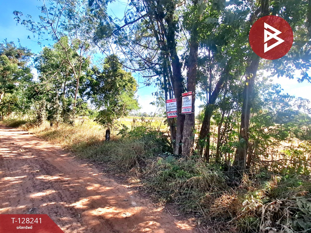Land for sale, area 3 rai 1 ngan 5 sq m, Changhan, Roi Et. – รูปที่ 3
