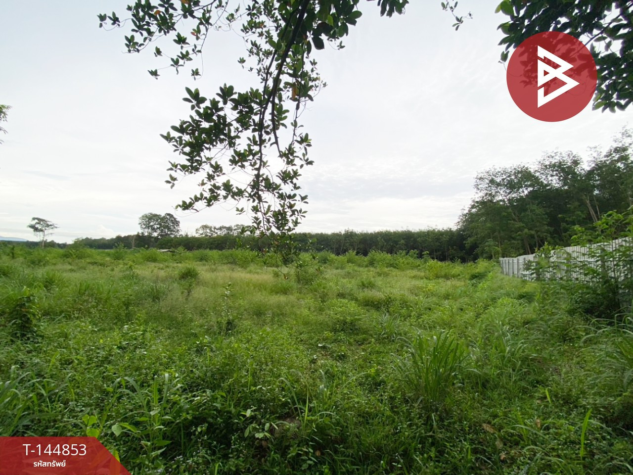 ขายด่วนที่ดิน เนื้อที่ 6 ไร่ 1 งาน 59 ตร.วา บ้านค่าย ระยอง – รูปที่ 2