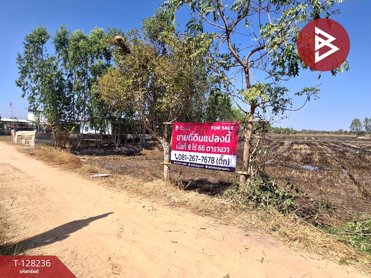 ขายที่ดิน เนื้อที่ 8 ไร่ 66 ตร.วา จังหาร ร้อยเอ็ด – รูปที่ 3